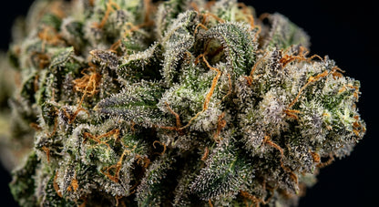 Frosted Kush CBD Hemp Flower — Indoor Grown | Premium | 3.5g – 28g — closeup