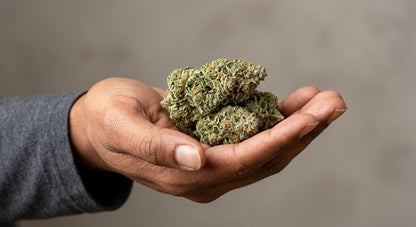 Frosted Kush CBD Hemp Flower — Indoor Grown | Premium | 3.5g – 28g — inhand