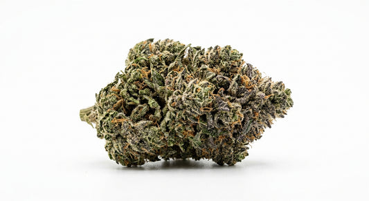Fuji CBD Hemp Flower — Indoor Grown | Premium | 3.5g – 28g — hero