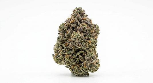 Fuji CBD Hemp Flower — hero