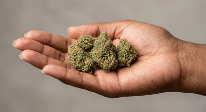 Fuji CBD Hemp Flower — Indoor Grown | Premium | 3.5g – 28g — inhand