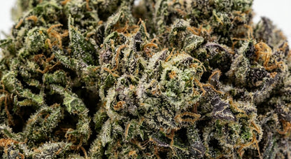 Fuji CBD Hemp Flower — macro