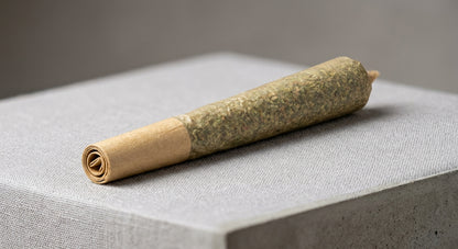 Gelato CBD Pre-Roll Joint — 1g | Hemp-Derived | Lab-Tested — angle