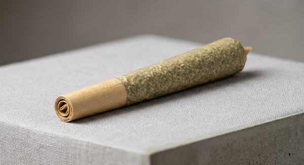 Gelato CBD Pre-Roll Joint — 1g | Hemp-Derived | Lab-Tested