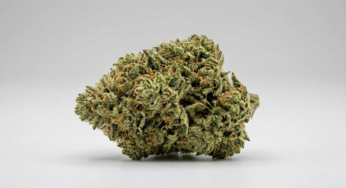 GFI CBD Hemp Flower — Premium | Lab Tested | 3.5g – 28g — angle