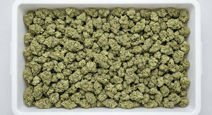 GFI CBD Hemp Flower — Premium | Wholesale Bulk | 1 lb – 5 lbs — wholesale-bin
