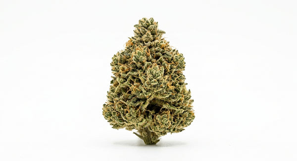 Gorilla Glue CBD Hemp Flower — Indoor Grown | Premium | 3.5g – 28g