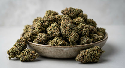 Gorilla Glue CBD Hemp Flower — Indoor Grown | Wholesale Bulk | 1 lb – 5 lbs — wholesale-angle