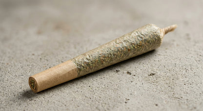 Gorilla Glue CBD Pre-Roll Joint — 1g | Hemp-Derived | Lab-Tested — angle