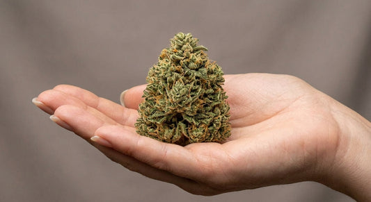 Hempress CBD Hemp Flower — inhand