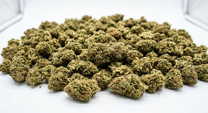 Hempress CBD Hemp Flower — Greenhouse Grown | Wholesale Bulk | 1 lb – 5 lbs — wholesale-hero