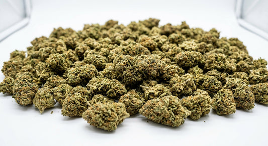 Hempress CBD Hemp Flower — Greenhouse Grown | Wholesale Bulk | 1 lb – 5 lbs — wholesale-hero