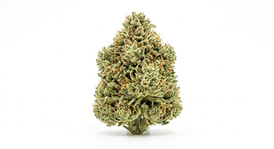 CBG Hemp Flower — John Snow | High-CBG | Greenhouse Grown | 3.5g – 28g — hero