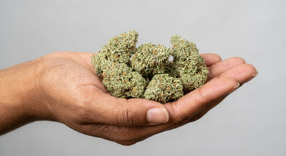 CBG Hemp Flower — John Snow | High-CBG | Greenhouse Grown | 3.5g – 28g — inhand