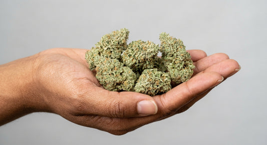 CBG Hemp Flower — John Snow | High-CBG | Greenhouse Grown | 3.5g – 28g — inhand