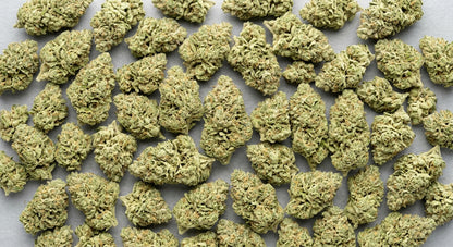 CBG Hemp Flower — John Snow | Wholesale Bulk | 1 lb – 5 lbs — wholesale-spread