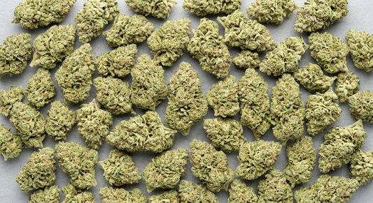 CBG Hemp Flower — John Snow | Wholesale Bulk | 1 lb – 5 lbs — wholesale-spread