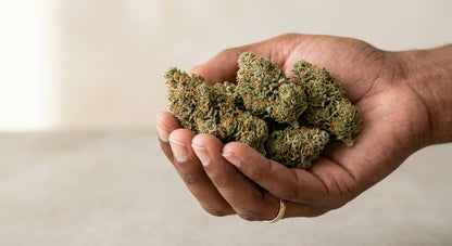 Lifter CBD Hemp Flower — Outdoor Grown | Hand-Trimmed | 3.5g – 28g — inhand