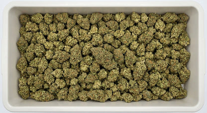 Lifter CBD Hemp Flower — bin