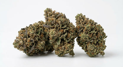 Papaya Nights CBD Hemp Flower — buds