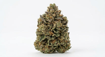 Papaya Nights CBD Hemp Flower — hero