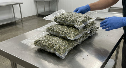 Payton's Strawberrys CBD Hemp Flower — bags