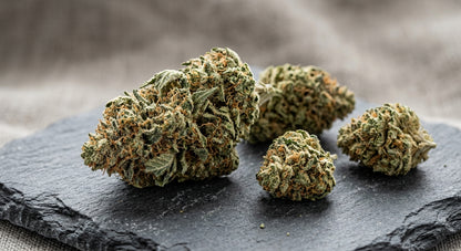 Pineberry CBD Hemp Flower — Outdoor Grown | Hand-Trimmed | 3.5g – 28g — angle