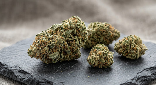 Pineberry CBD Hemp Flower — Outdoor Grown | Hand-Trimmed | 3.5g – 28g — angle