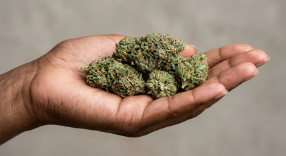 Pineberry CBD Hemp Flower — Outdoor Grown | Hand-Trimmed | 3.5g – 28g — inhand