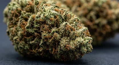 Pivot CBD Hemp Flower — Greenhouse Grown | Hand-Trimmed | 3.5g – 28g — closeup