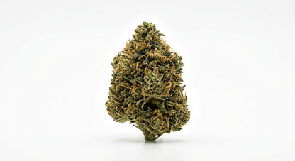 Pivot CBD Hemp Flower — Greenhouse Grown | Hand-Trimmed | 3.5g – 28g — hero