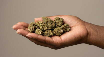 Pivot CBD Hemp Flower — Greenhouse Grown | Hand-Trimmed | 3.5g – 28g — inhand