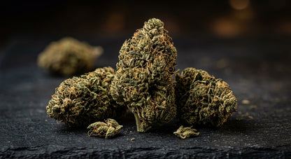 Pivot CBD Hemp Flower — Greenhouse Grown | Wholesale Bulk | 1 lb – 5 lbs — wholesale-detail