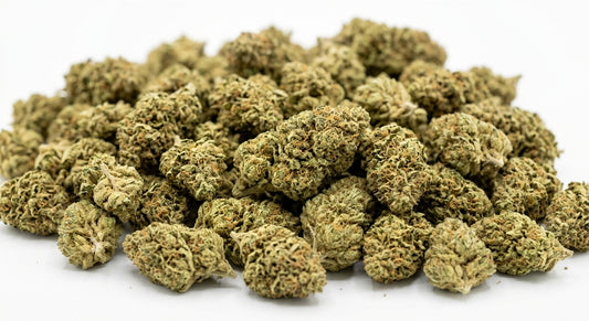 Pivot CBD Hemp Flower — Greenhouse Grown | Wholesale Bulk | 1 lb – 5 lbs — wholesale-hero