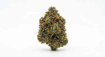 Royal OG CBD Hemp Flower — Indoor Grown | Premium | 3.5g – 28g — hero