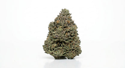 Secret OG CBD Hemp Flower — hero