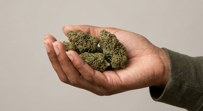 Secret OG CBD Hemp Flower — Indoor Grown | Premium | 3.5g – 28g — inhand