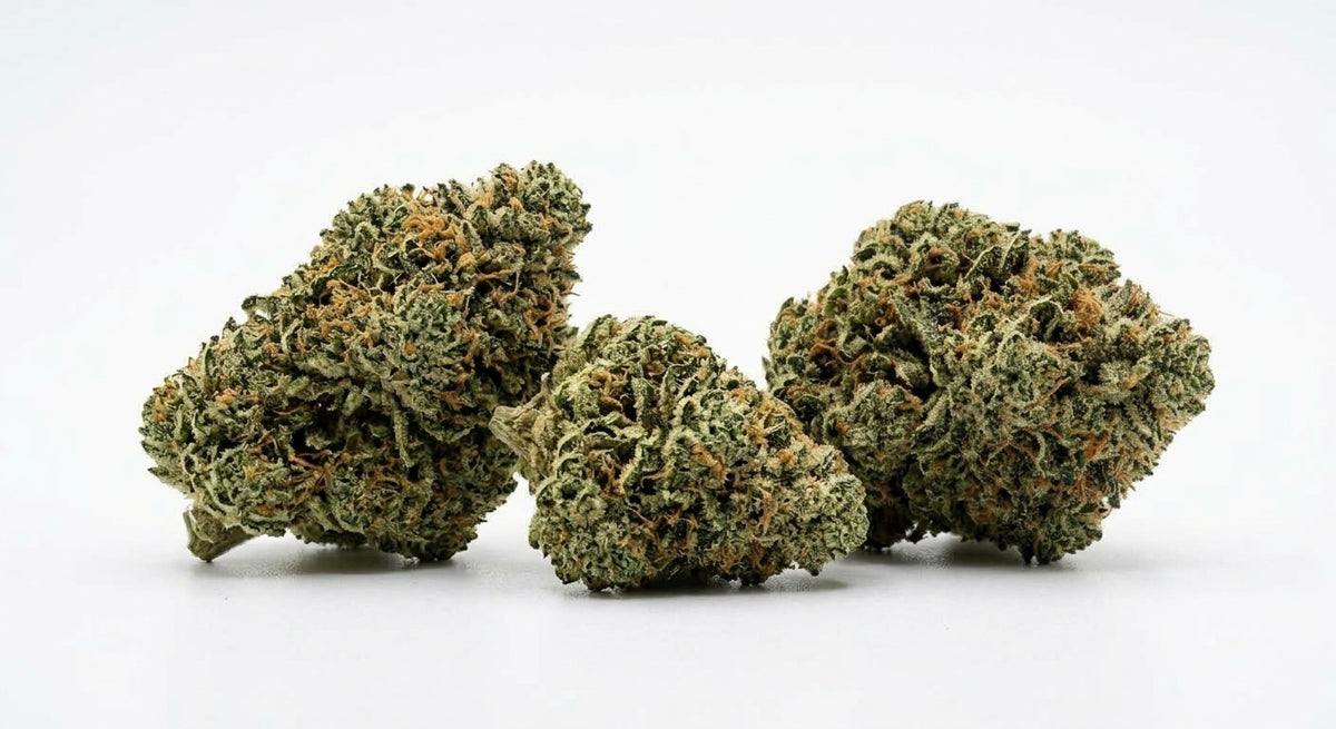 Sour Brulee CBD Hemp Flower — Premium | Lab Tested | 3.5g – 28g — group