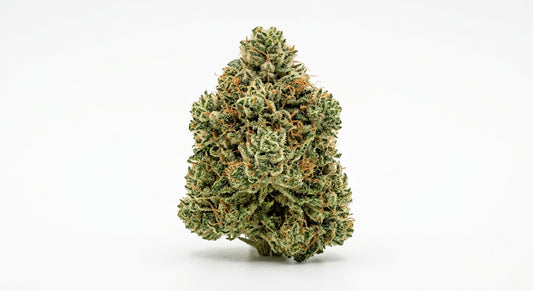 Sour Space Candy CBD Hemp Flower — hero
