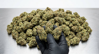 Sour Space Candy CBD Hemp Flower — bulk