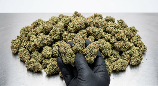 Sour Space Candy CBD Hemp Flower — bulk