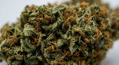 Special Sauce CBD Hemp Flower — macro