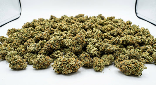Special Sauce CBD Hemp Flower — Outdoor Grown | Wholesale Bulk | 1 lb – 5 lbs — wholesale-hero