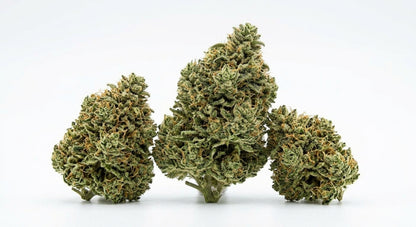 Suver Haze CBD Hemp Flower — buds