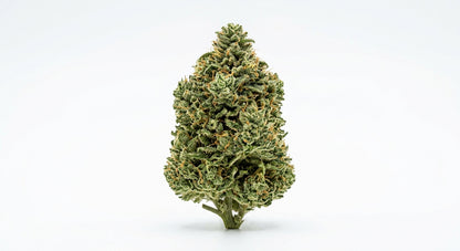 Suver Haze CBD Hemp Flower — Outdoor Grown | Hand-Trimmed | 3.5g – 28g — hero