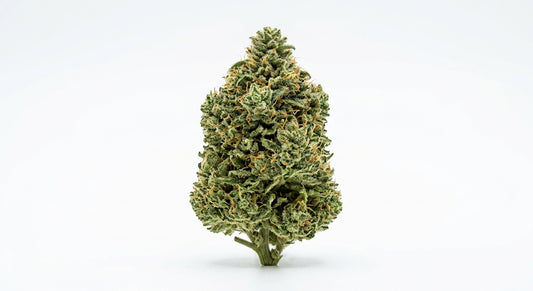 Suver Haze CBD Hemp Flower — Outdoor Grown | Hand-Trimmed | 3.5g – 28g — hero