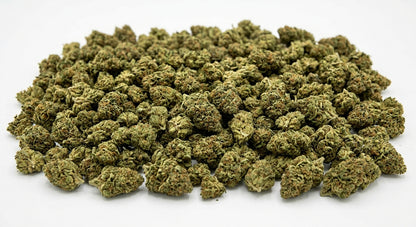 T1 CBD Hemp Flower — Outdoor Grown | Wholesale Bulk | 1 lb – 5 lbs — wholesale-hero