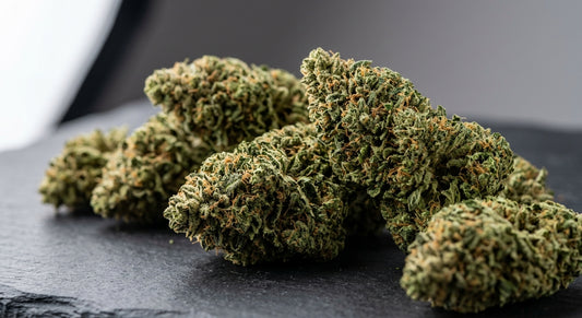 Velox CBD Flower | 18–22% CBD | Premium Hemp Buds | 1/4 oz – 2 oz — angle