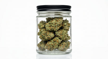 Velox CBD Flower | 18–22% CBD | Premium Hemp Buds | 1/4 oz – 2 oz — hero