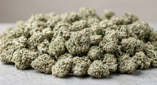 CBG Hemp Flower — White CBG | Wholesale Bulk | 1 lb – 5 lbs — wholesale-angle